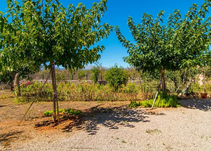 Holiday home Ca Na Poveta